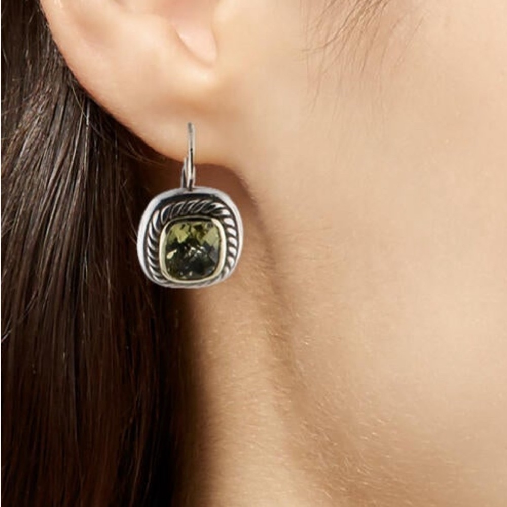 DY Earrings From the Albion Collection
Sterling Silver & 14K Yellow Gold